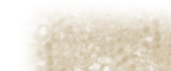 羊毛断熱材「サーモウール」イメージ